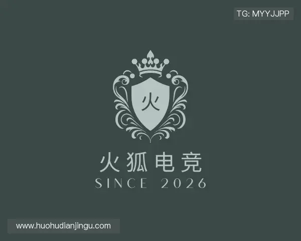 关于火狐电竞